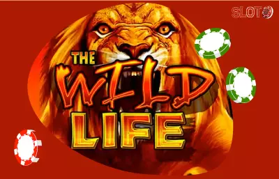 Videolottery Wild Life Slot: guida e consigli